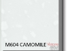 m604_camomile