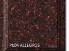 p104_allegros