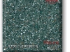 a206_evergreen