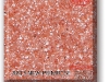a813_new_primrose