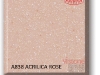 a838_acrilica_rose